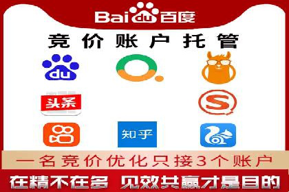 某某sem推广公司在某行业的应用与效果分析